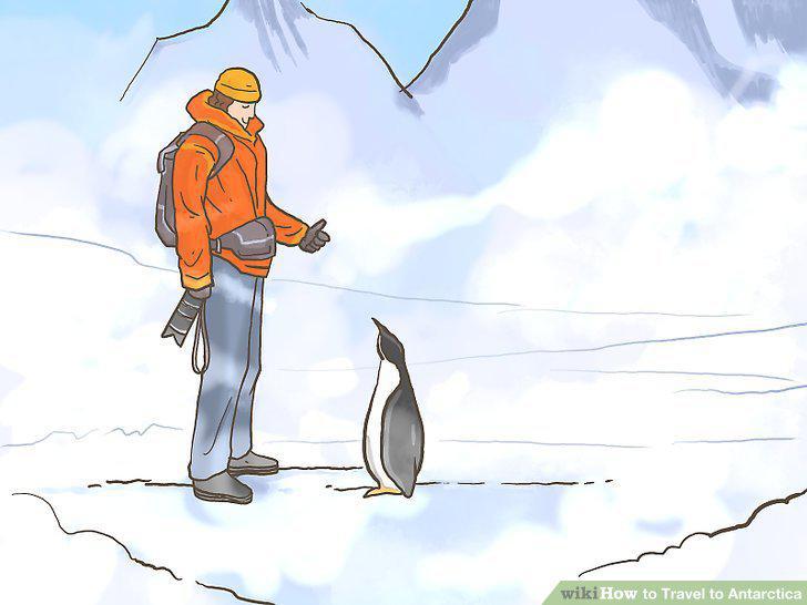 Step 13