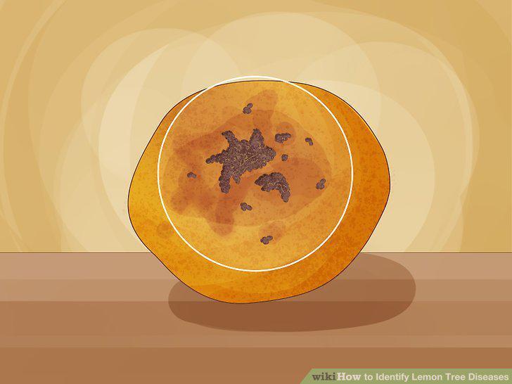 Step 11
