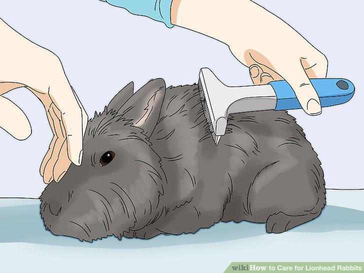 Step 11