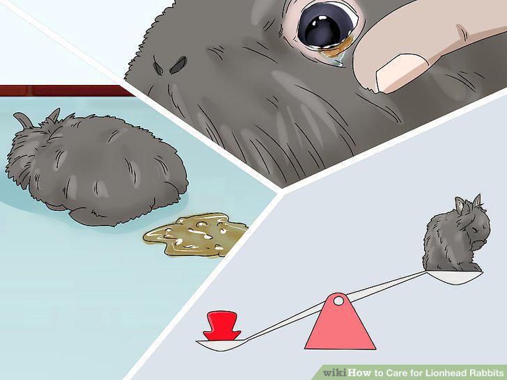 Step 13