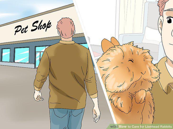 Step 5