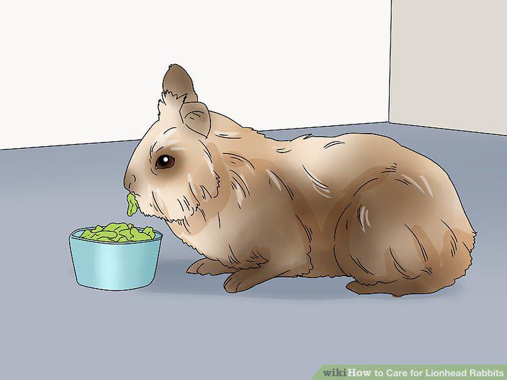 Step 10