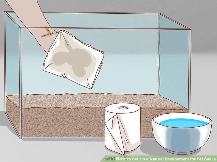 Step 11