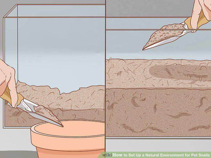 Step 12