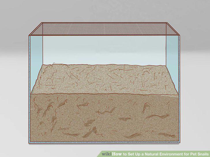 Step 3