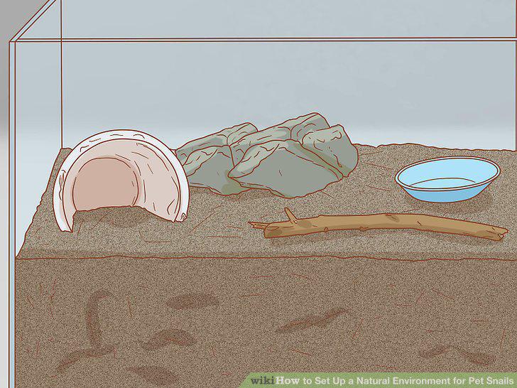 Step 5