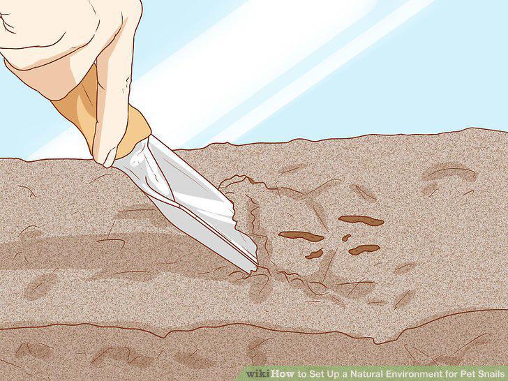 Step 10