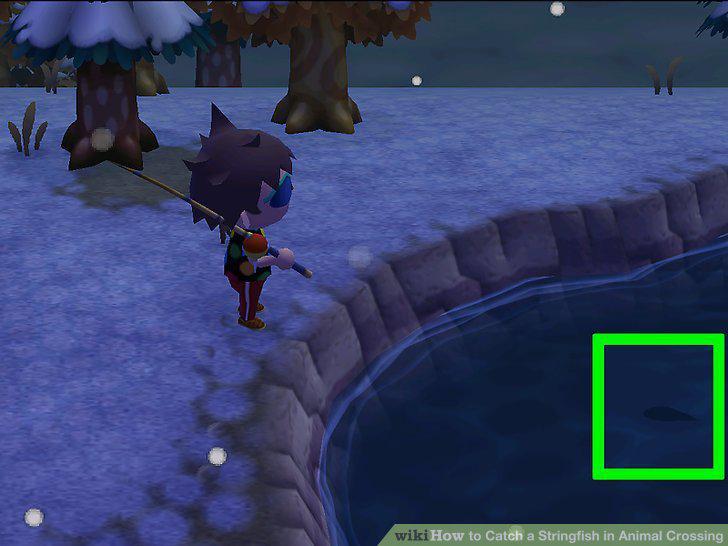 Step 5