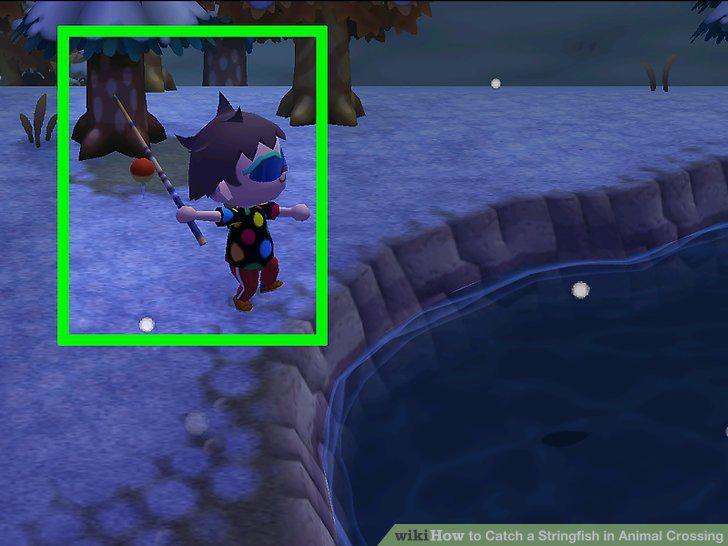 Step 6