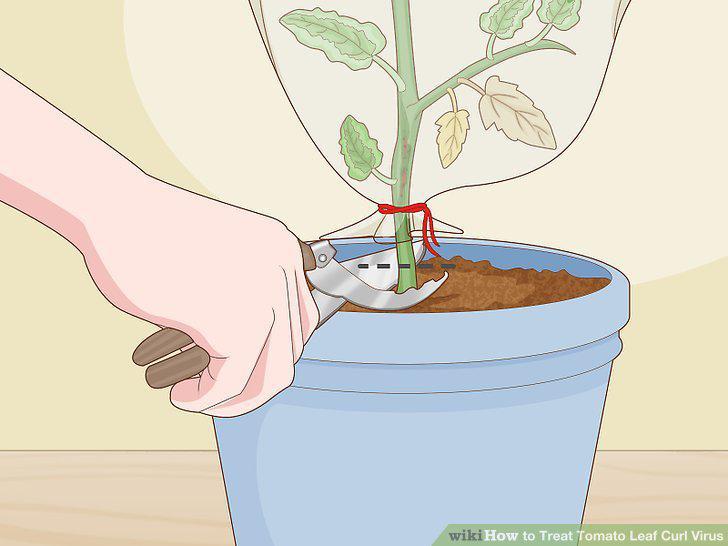 Step 2