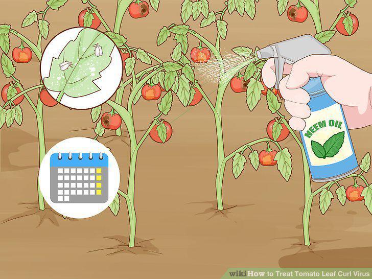 Step 10