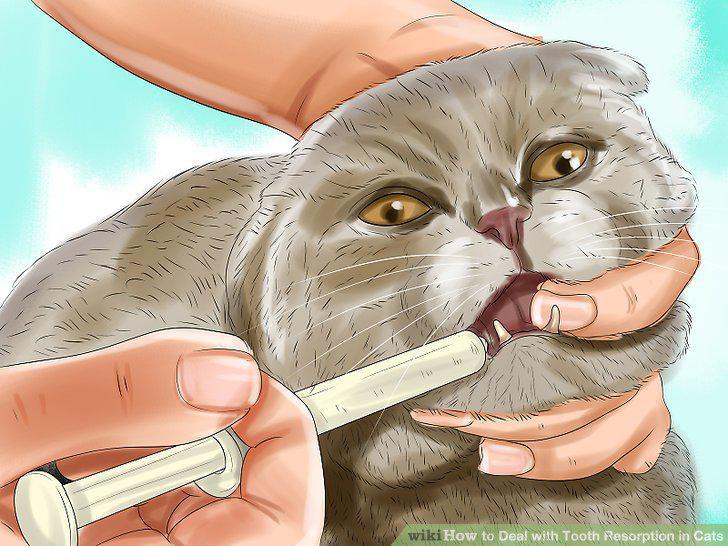 Step 11
