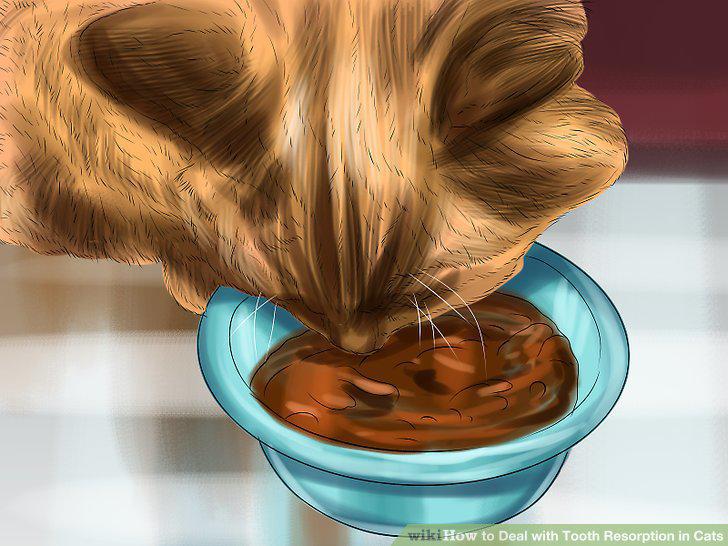 Step 10