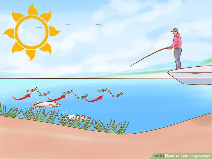 Step 11
