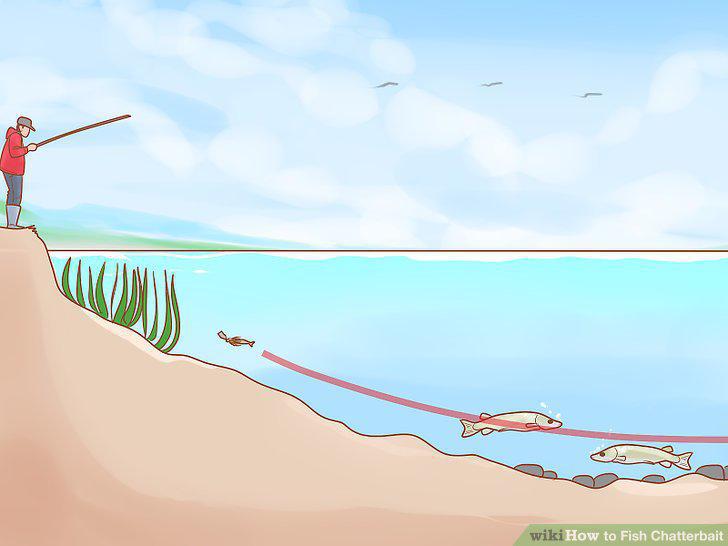 Step 12