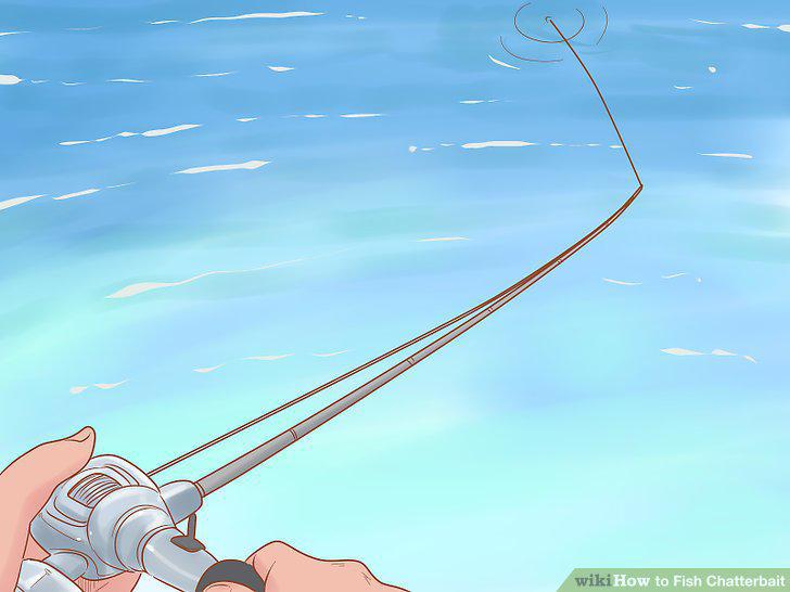 Step 5