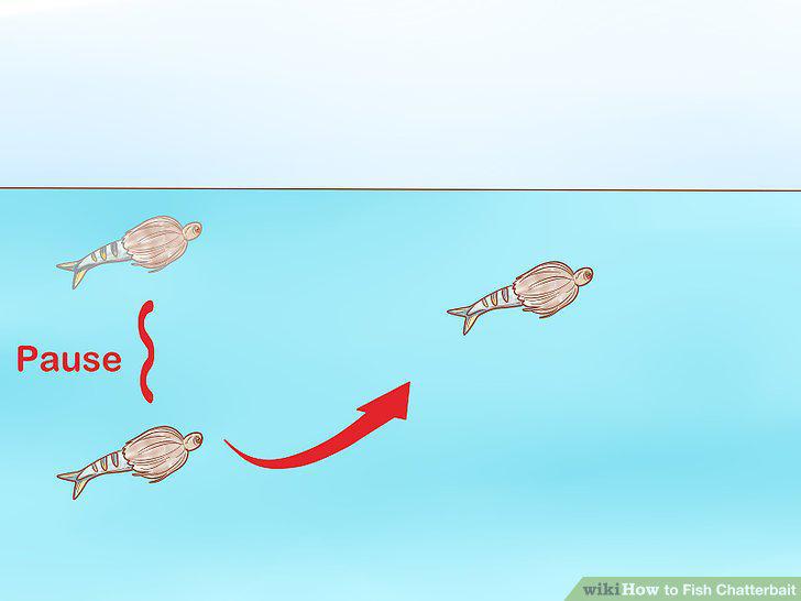 Step 6