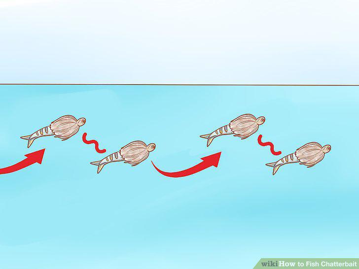 Step 7