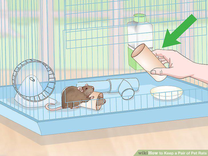 Step 13