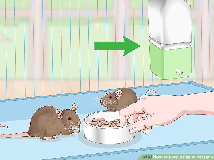 Step 14