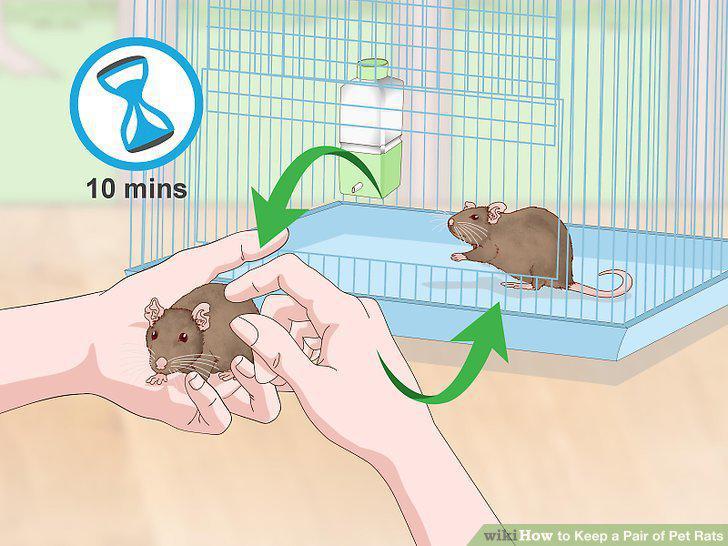 Step 16