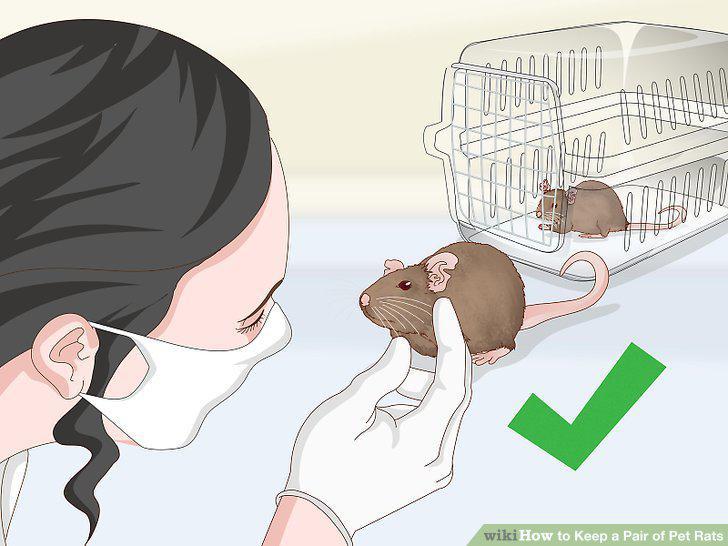 Step 18