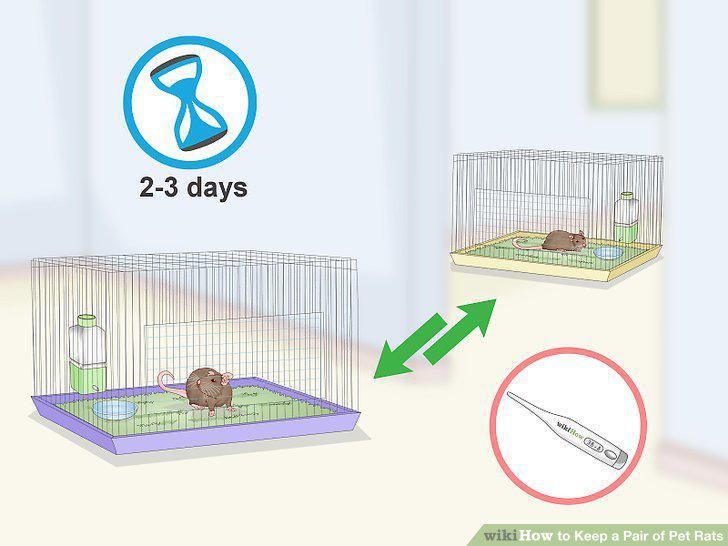 Step 5