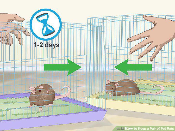 Step 6
