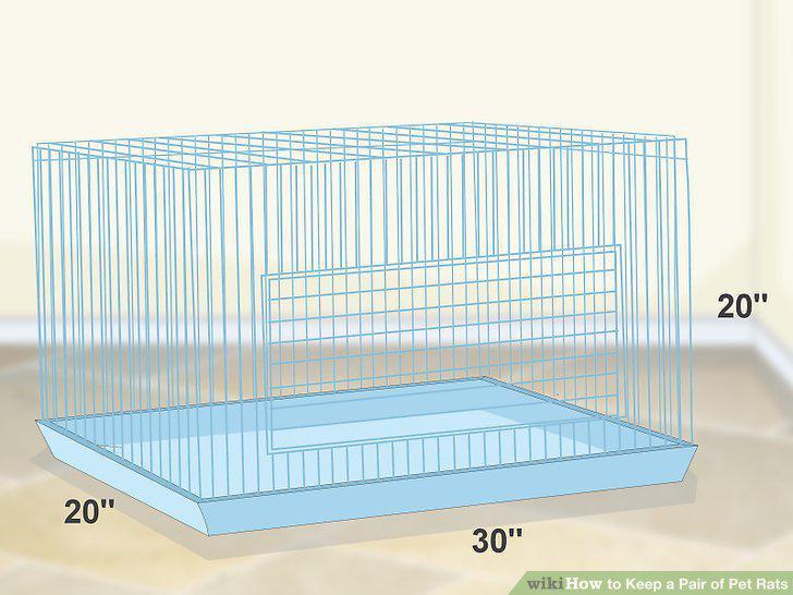 Step 10
