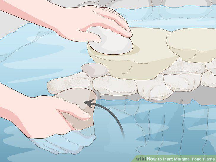 Step 13