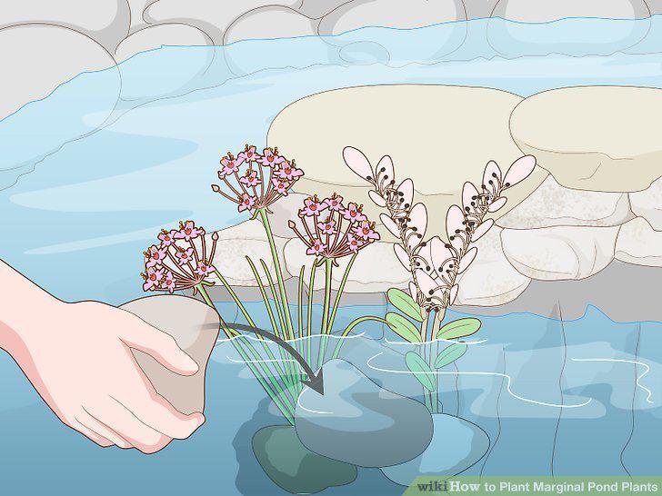 Step 14