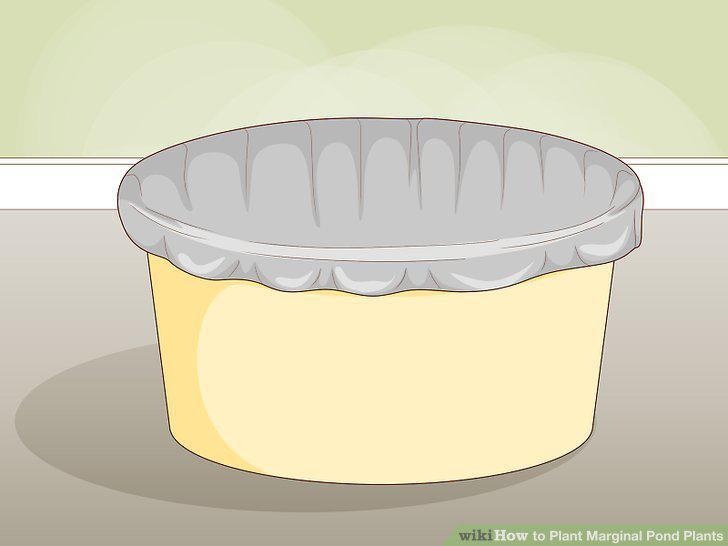 Step 4