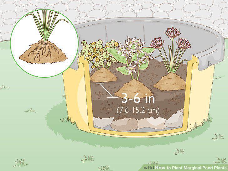 Step 7