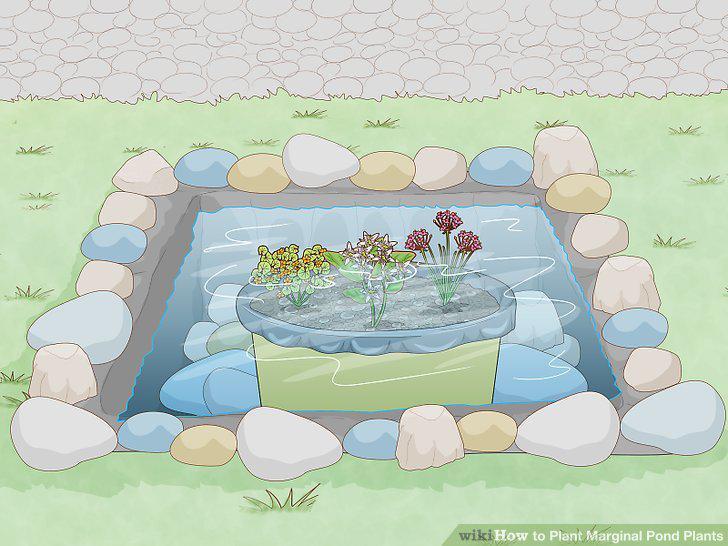 Step 10
