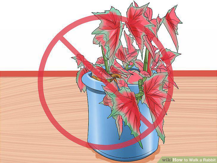 Step 11