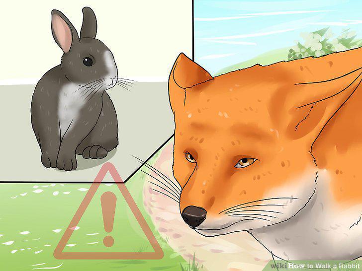 Step 12