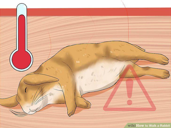Step 14