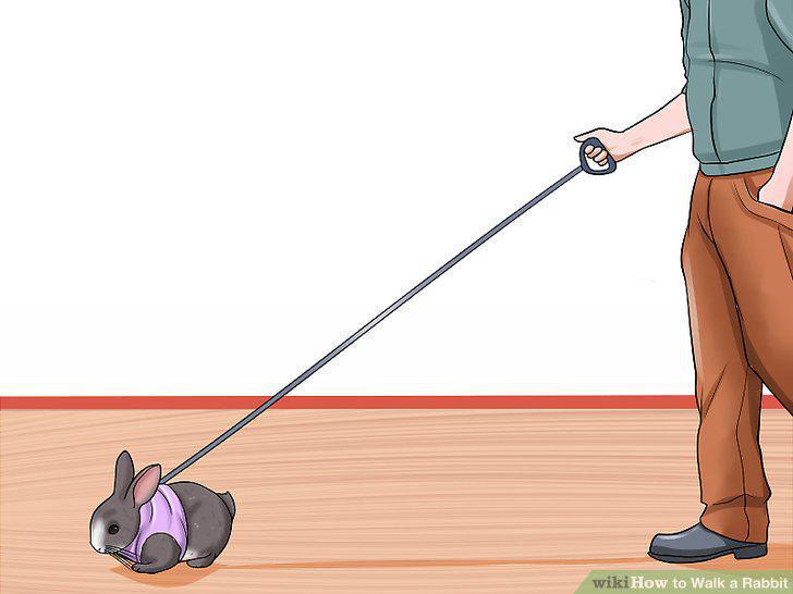 Step 8