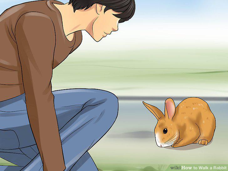 Step 10