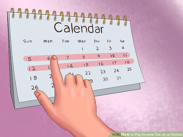 Step 16
