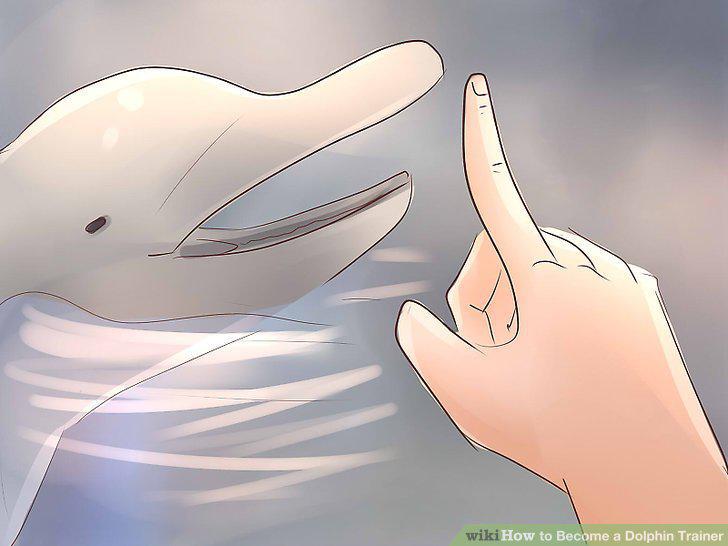 Step 13