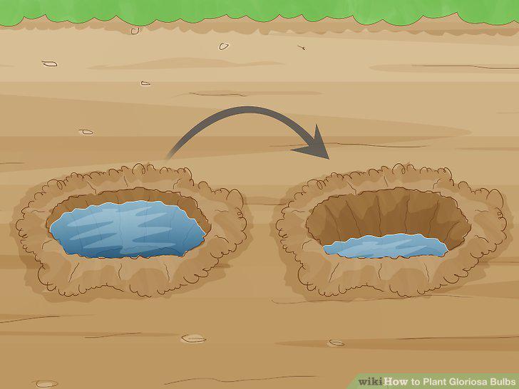 Step 2