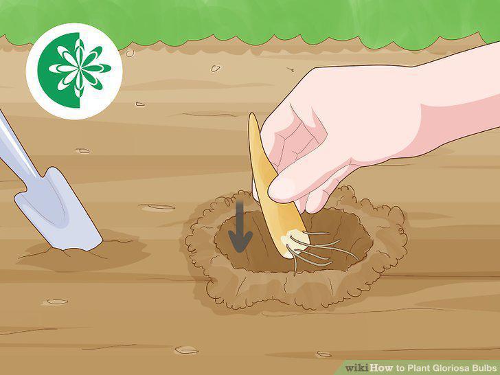 Step 13