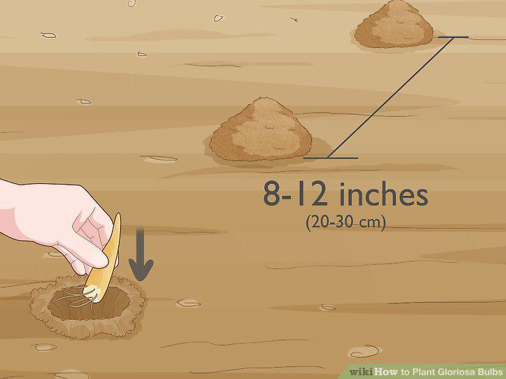 Step 5