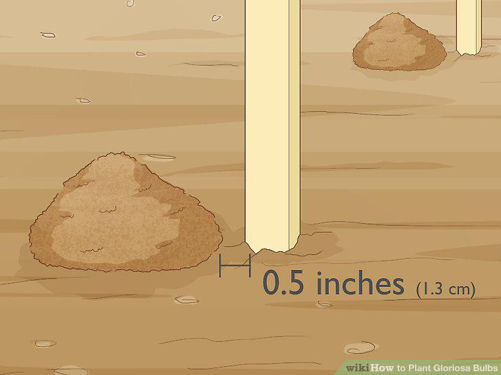 Step 6