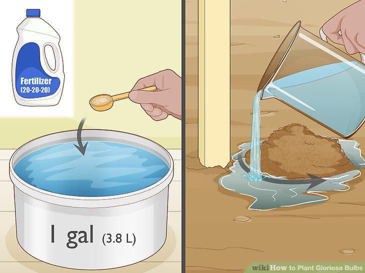 Step 9