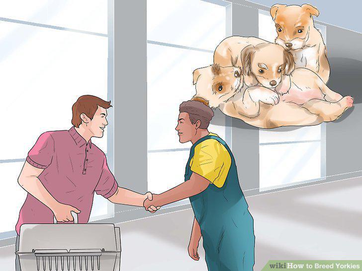 Step 12