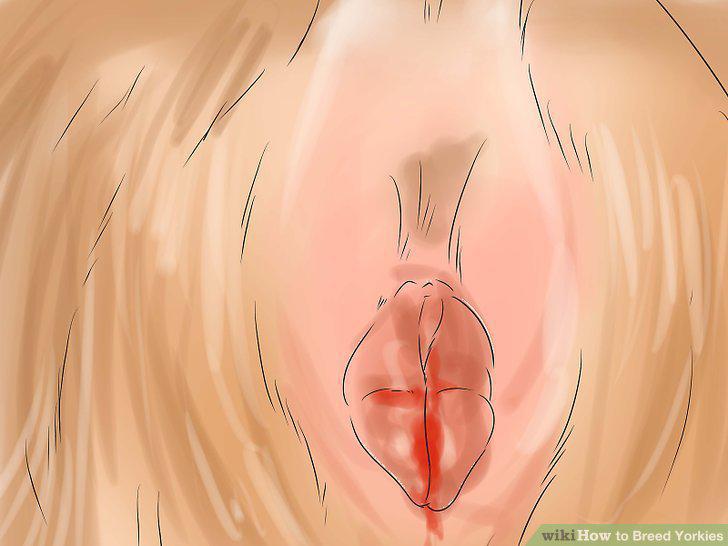 Step 10