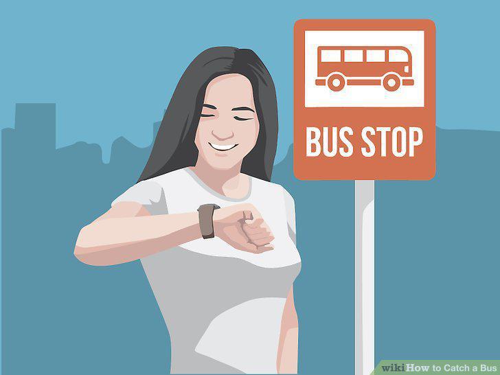 Step 12