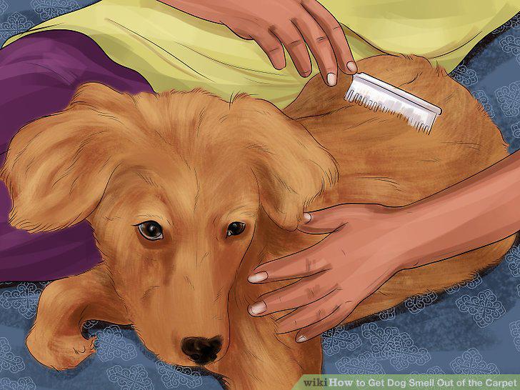 Step 11